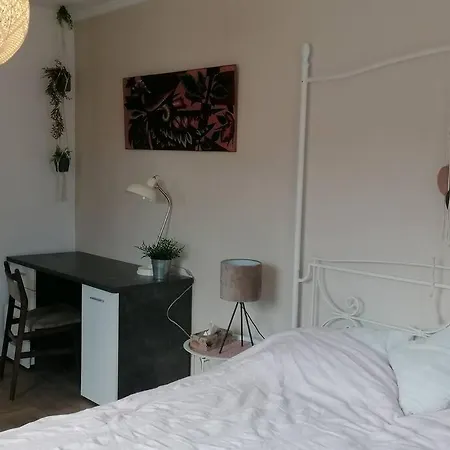 Voll Ausgestattete Mit Moselblick